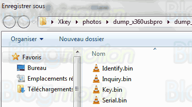 jungleflasher_save