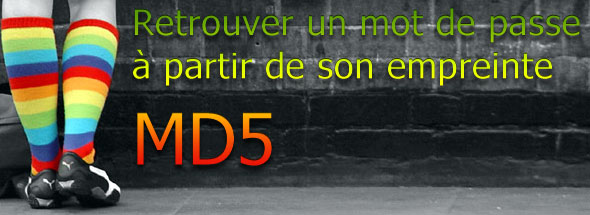 md5-decrypter